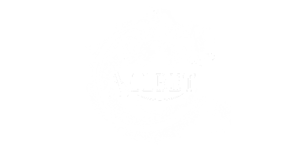 스피드 넷 logo